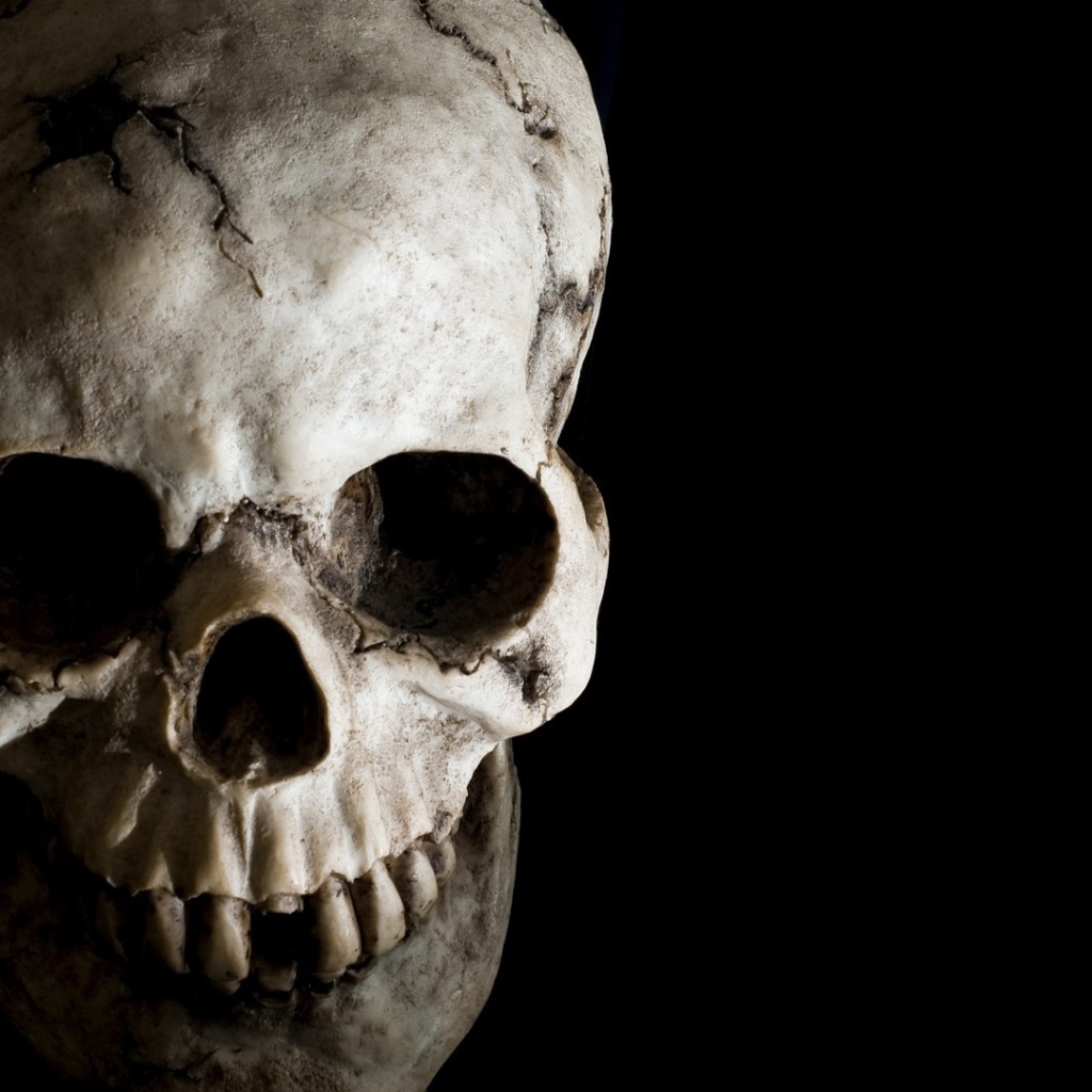 Череп человека на черном фоне