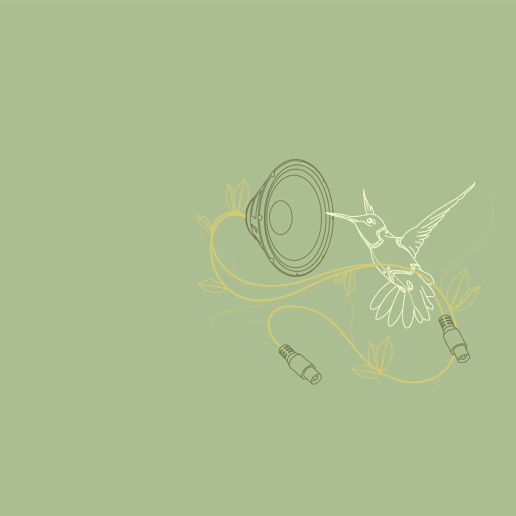 Колибри поет, серый фон