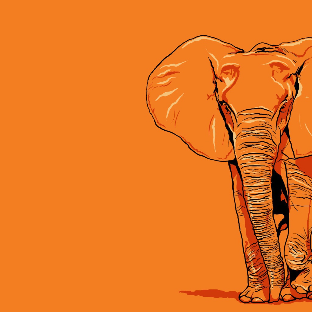 Изображение слона, оранжевый фон