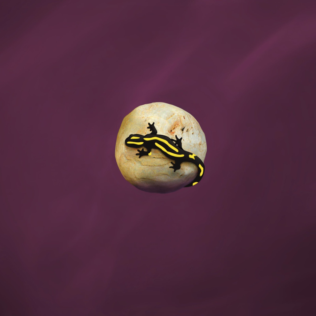 Ящерица на камне, фиолетовый фон