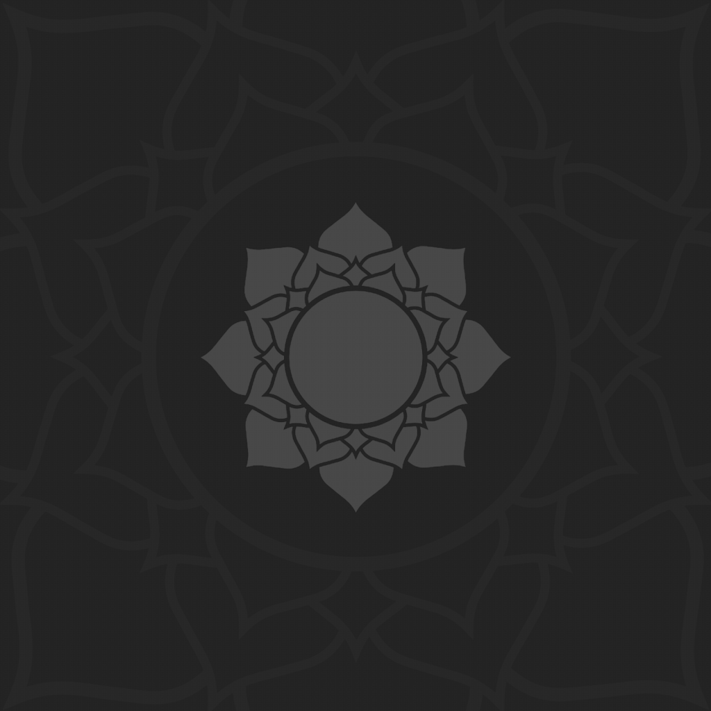 Цветок лотоса, темно серый фон