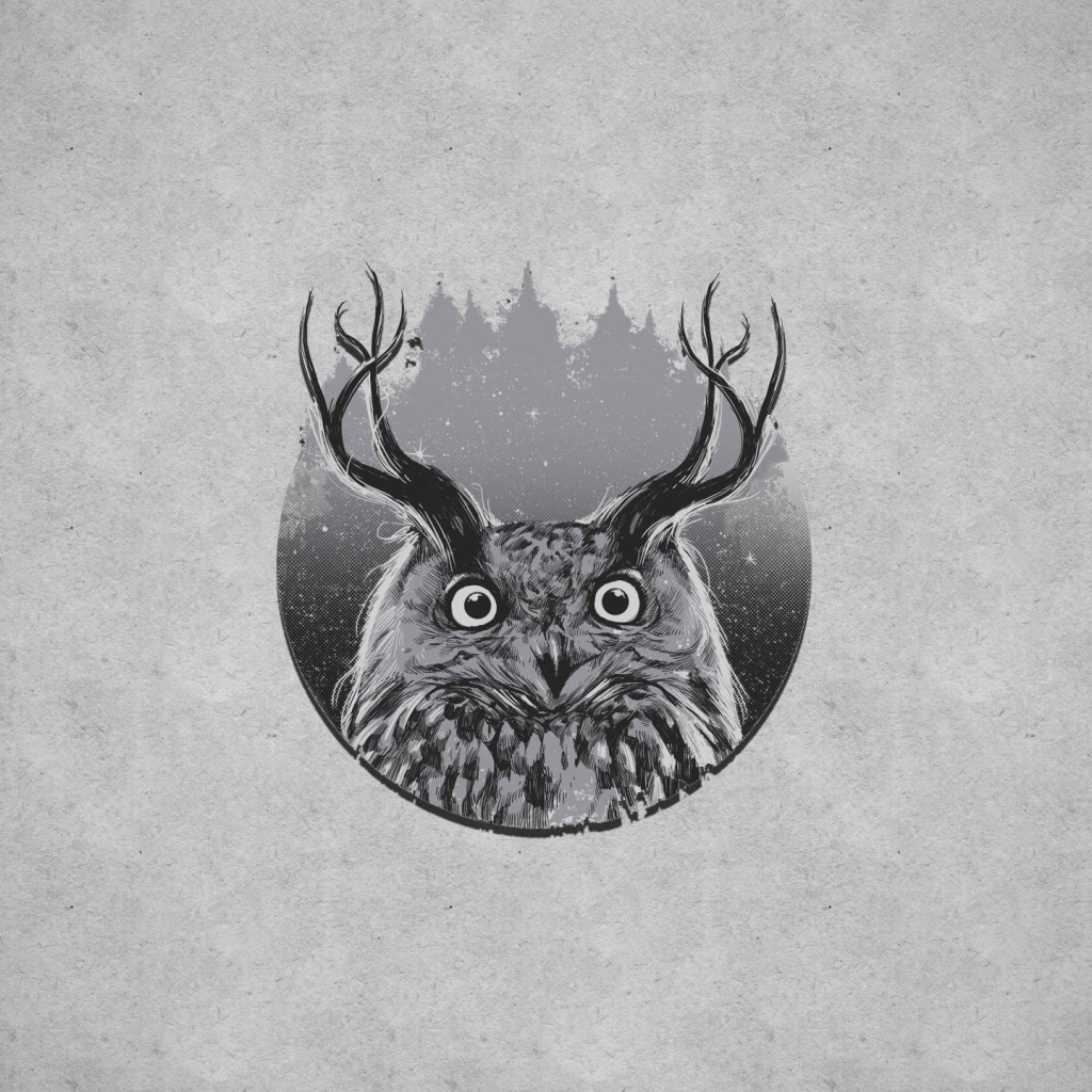 Сова с рогами, серый фон