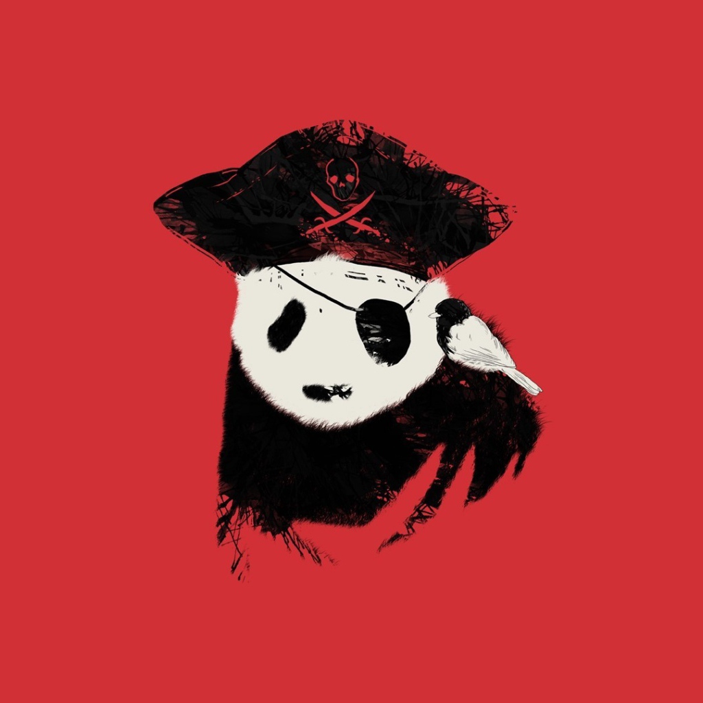 Панда пират, красный фон