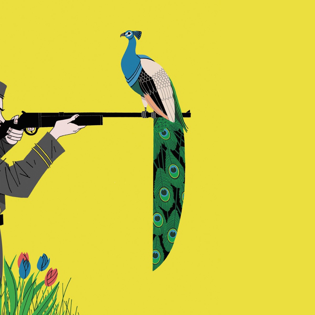 Фазан на ружье охотника, желтый фон