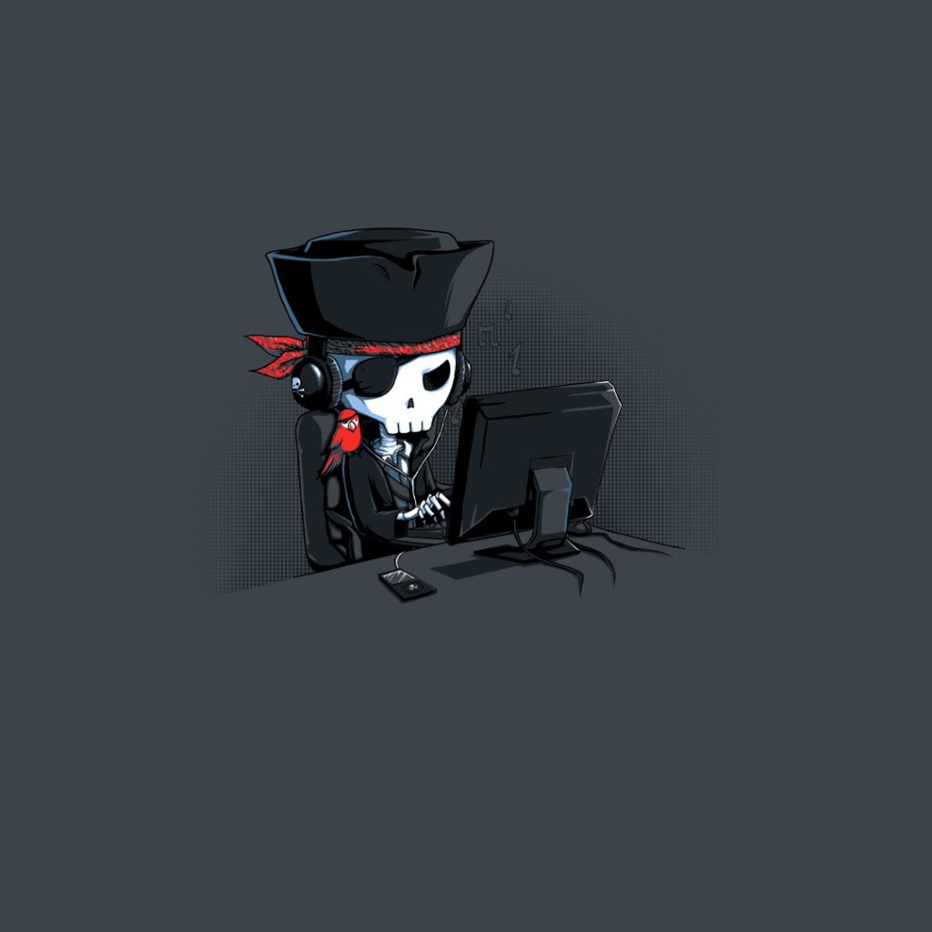 Пират за монитором, серый фон