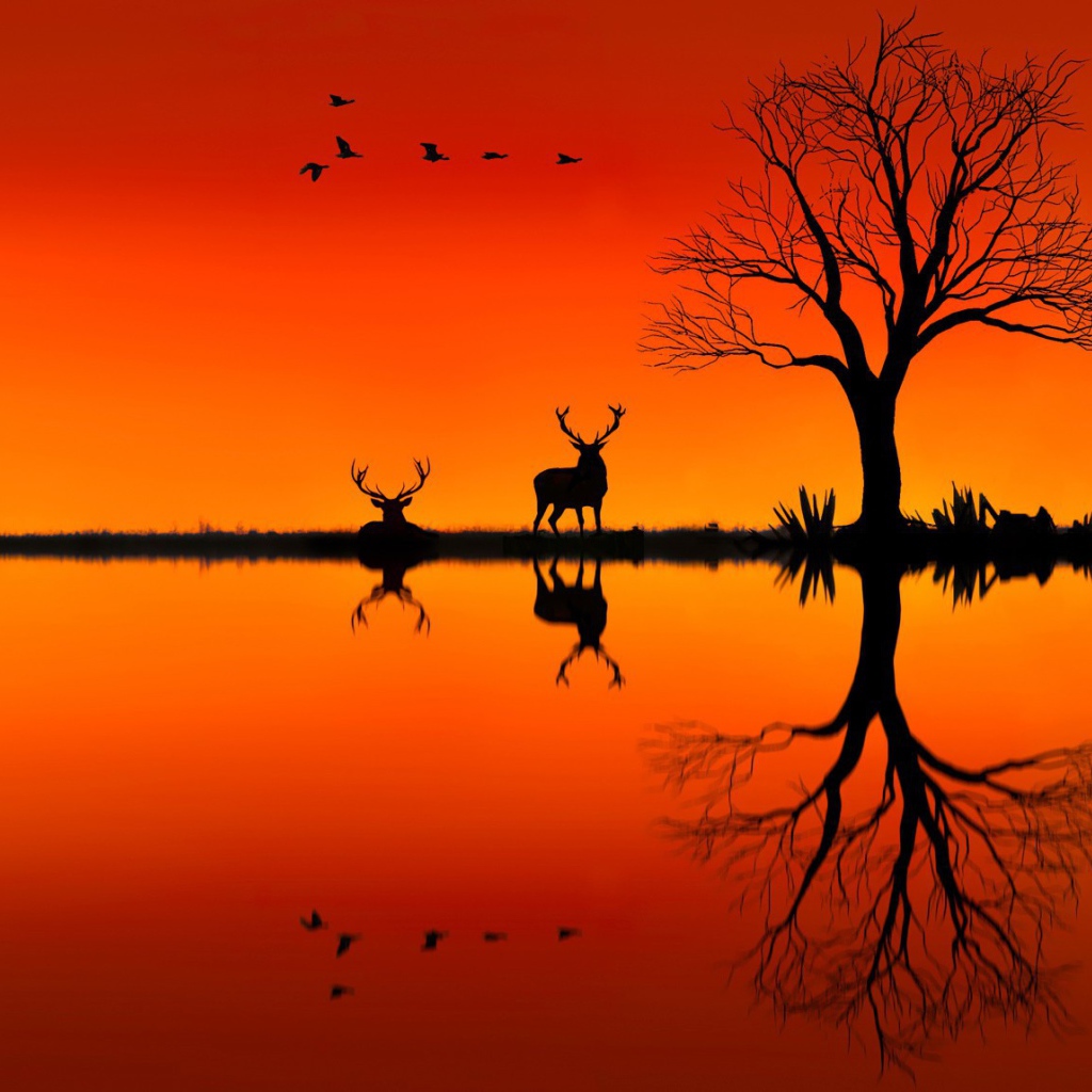 Силуэты оленей на оранжевом фоне