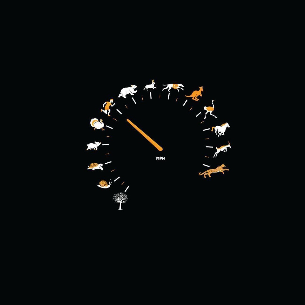 Спидометр для блондинок