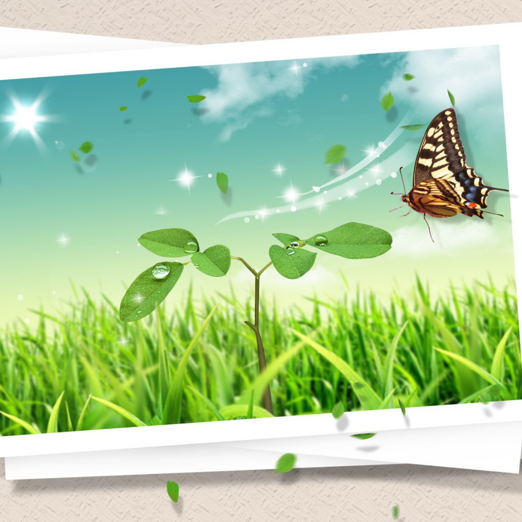 Летняя открытка с бабочкой