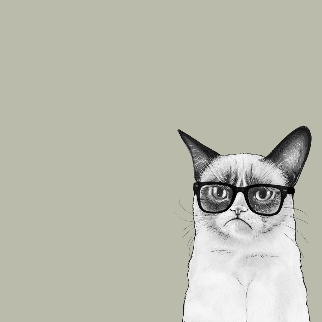 Кот в очках, серый фон