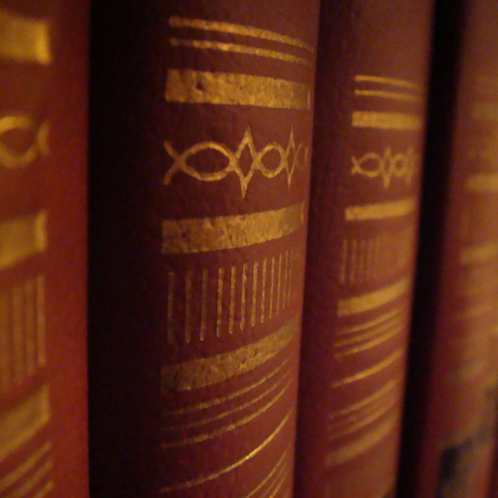 Корешки книг