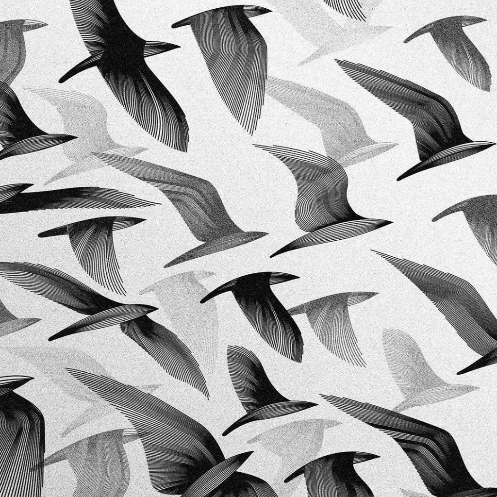 Черные птицы, серый фон