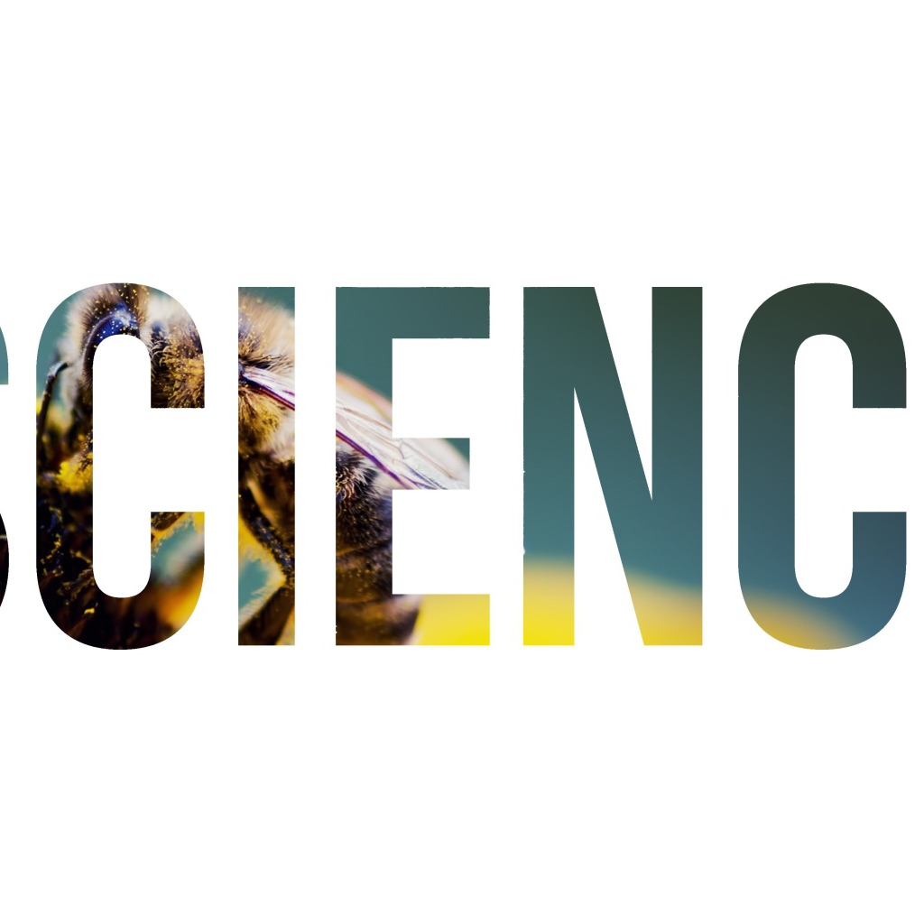 Надпись Наука на фоне пчелы