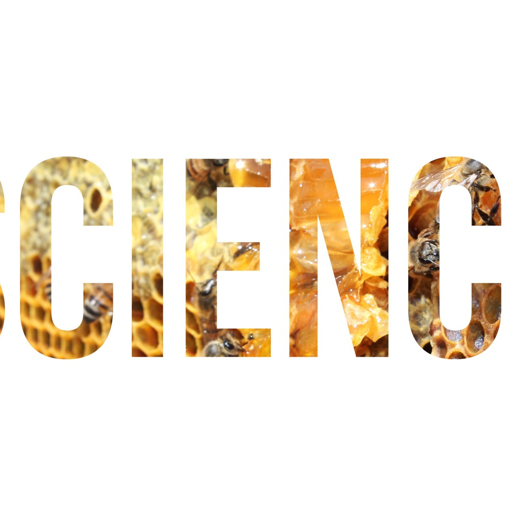 Надпись Наука на фоне улья