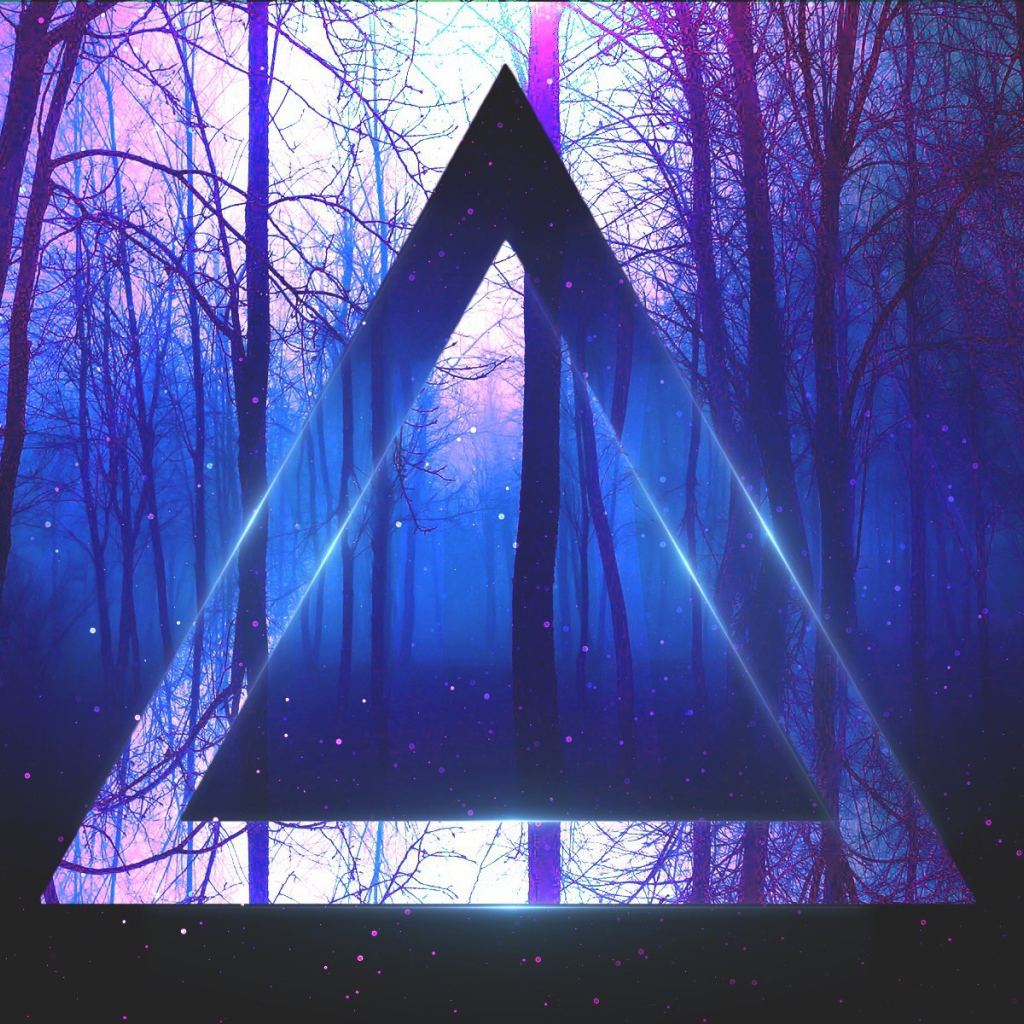 Треугольник на фоне веток