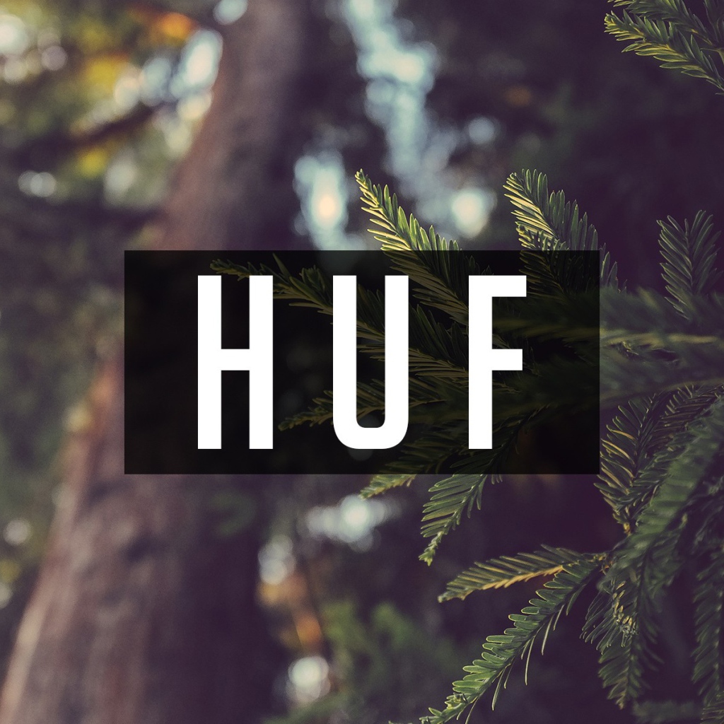 Надпись ХУФ на фоне еловых веток
