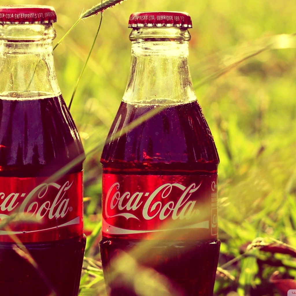 Две бутылки Coca-Cola в траве