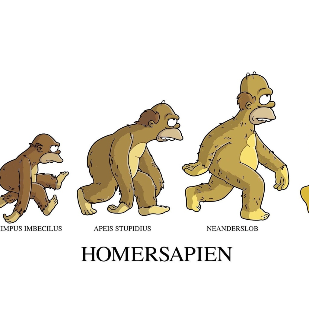 Эволюция Гомерсапиенса, мультфильм