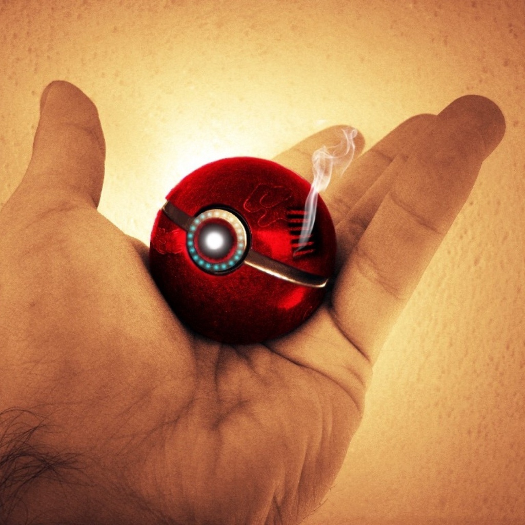 Покебол в руке