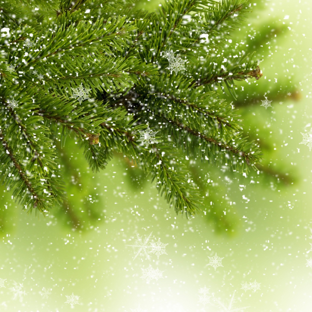 Снежинки на ветке елки