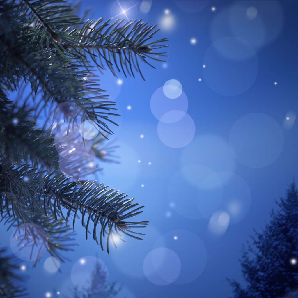 Новогодняя лунная ночь