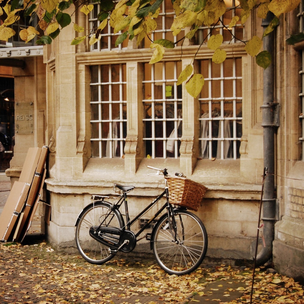 Велосипед с корзинкой у стены