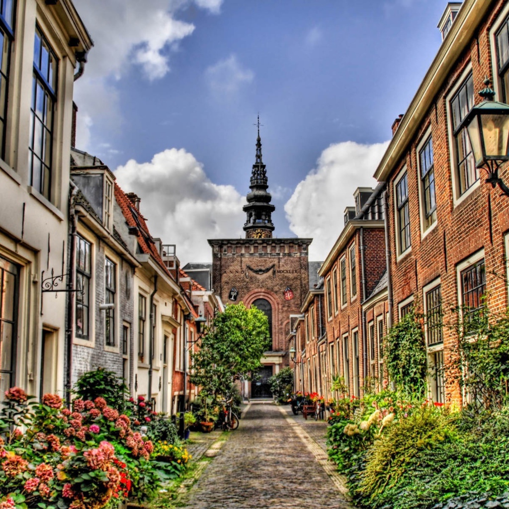 Цветущая узкая улица