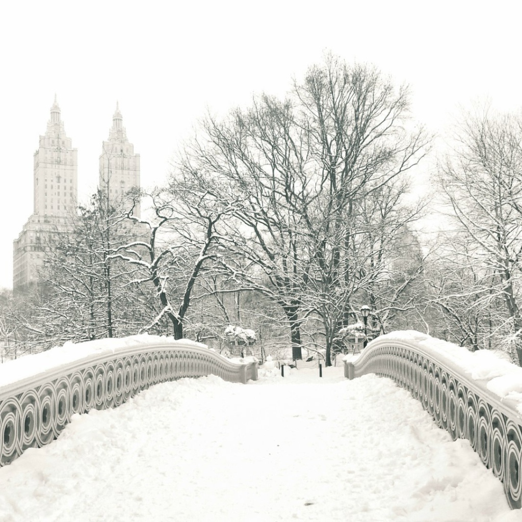 Мост в центральном парке Нью-Йорка