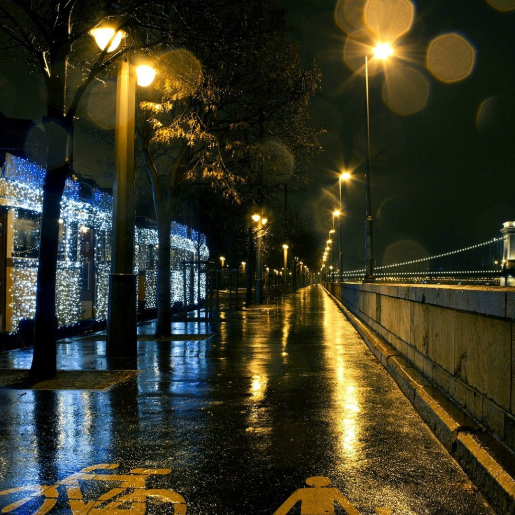 Рождественский трамвай в Будапеште, Венгрия