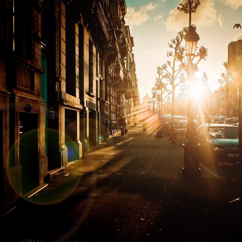 Блик от солнца на закате