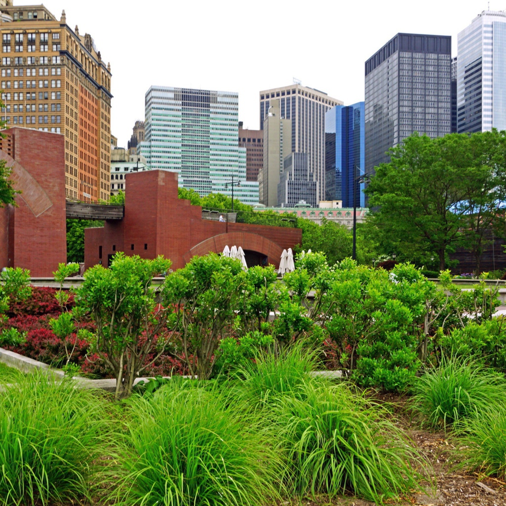 Зеленый парк в центре города