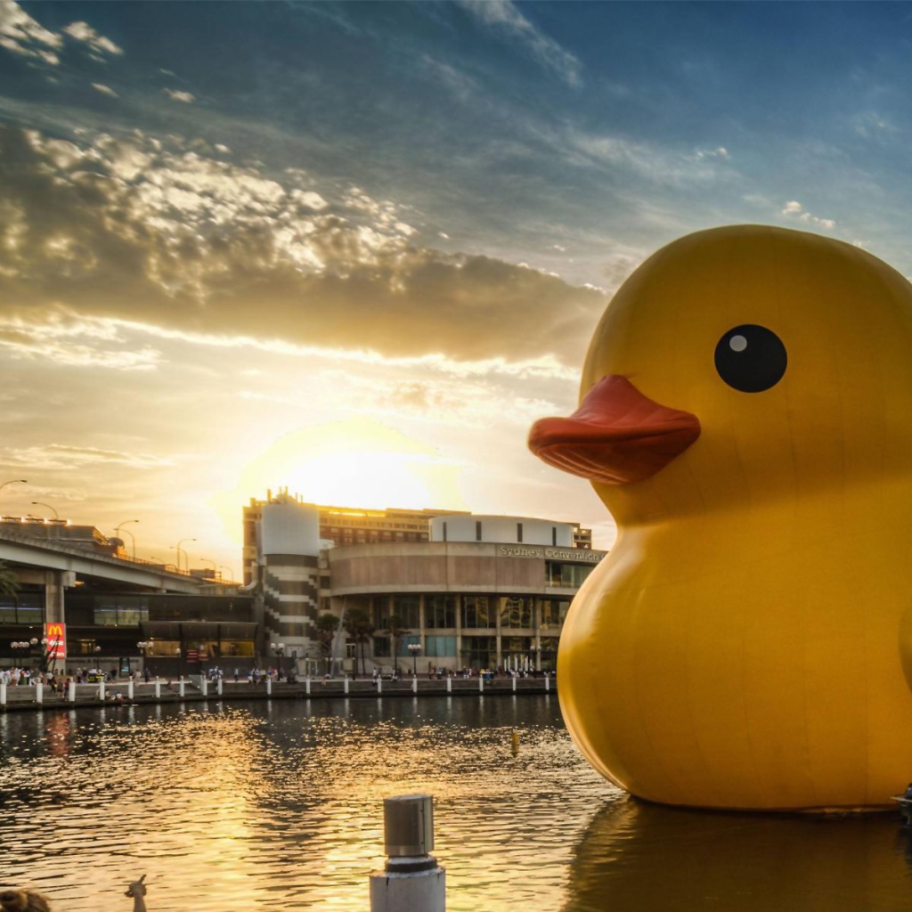 Огромная игрушечная утка