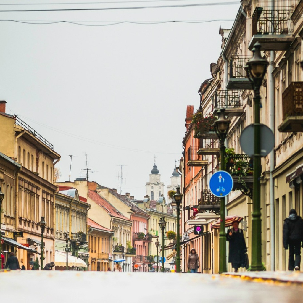 Город Каунас, Литва