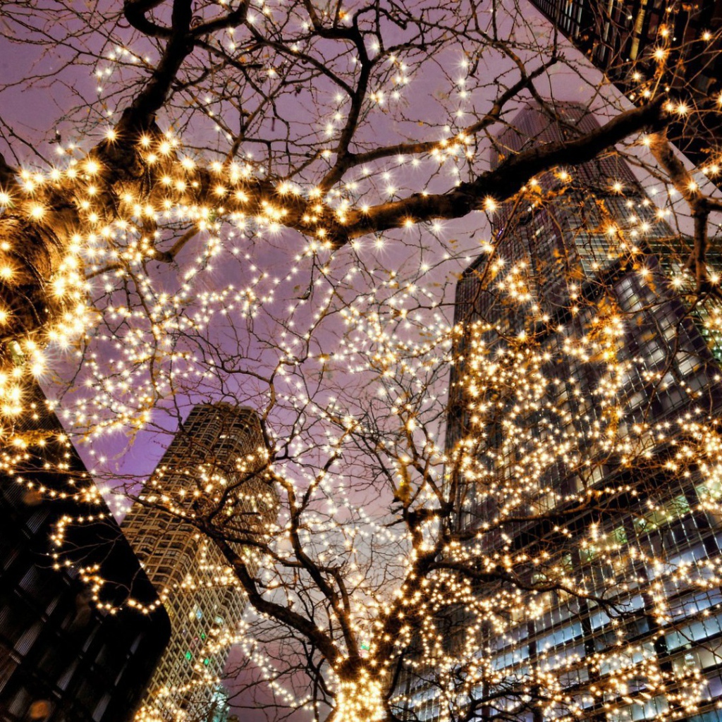 Предновогодний Чикаго США