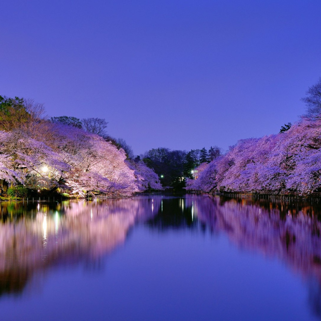 Парк в Осаке, Япония