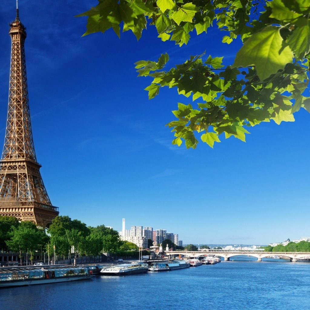 Река в Париже весной