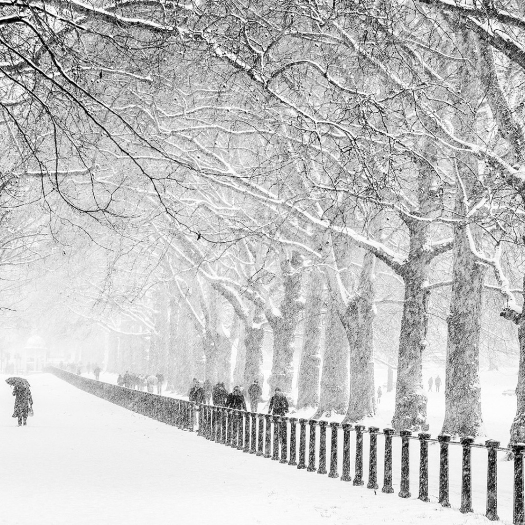 Сент-Джеймс Парк, Лондон