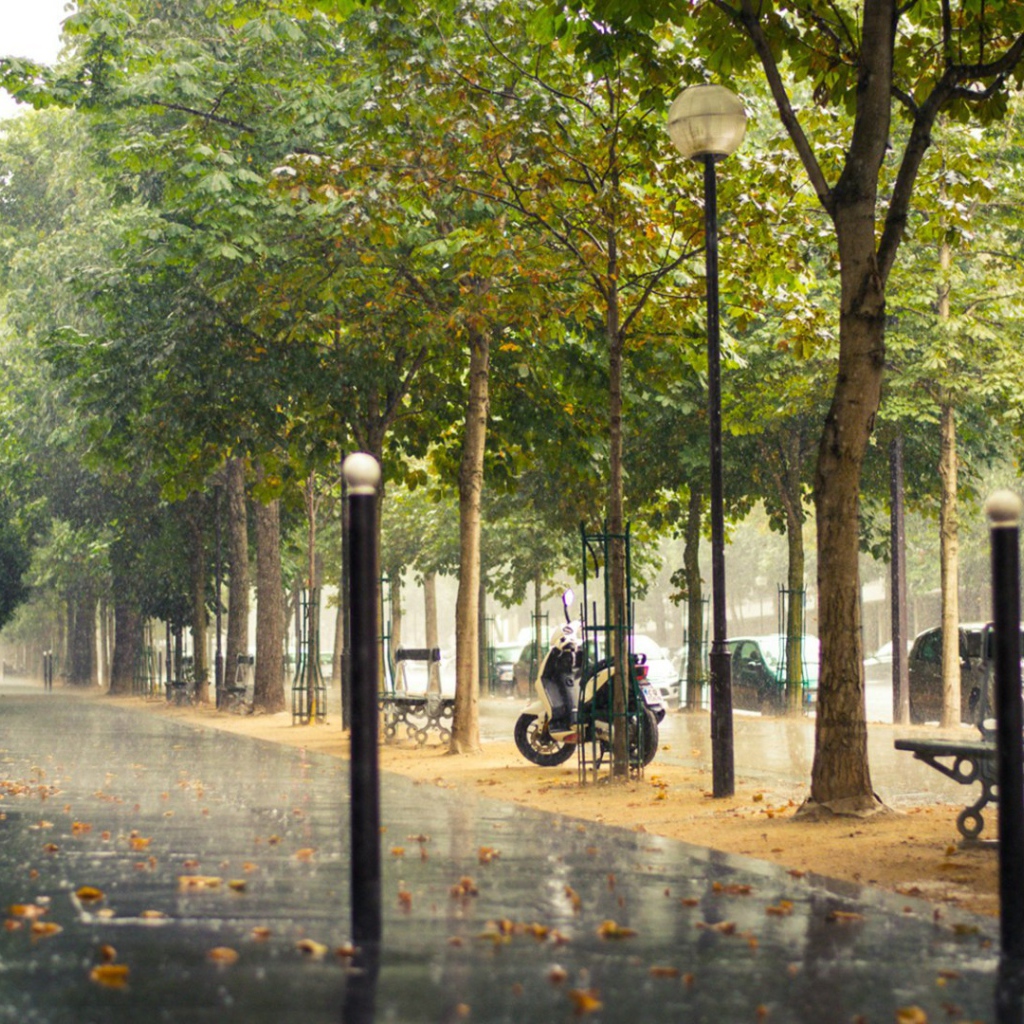 Street of Paris in the rain