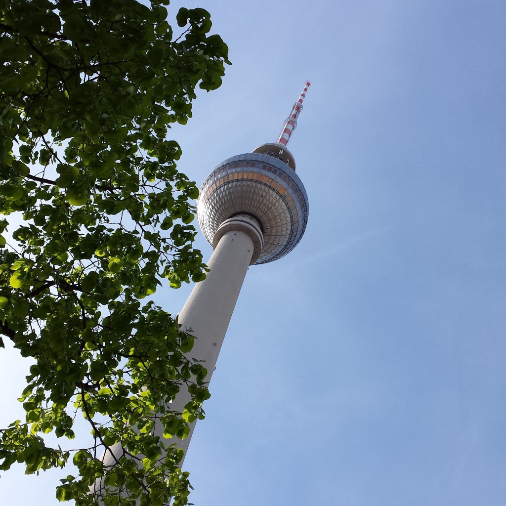Дерево на фоне телебашни в Берлине