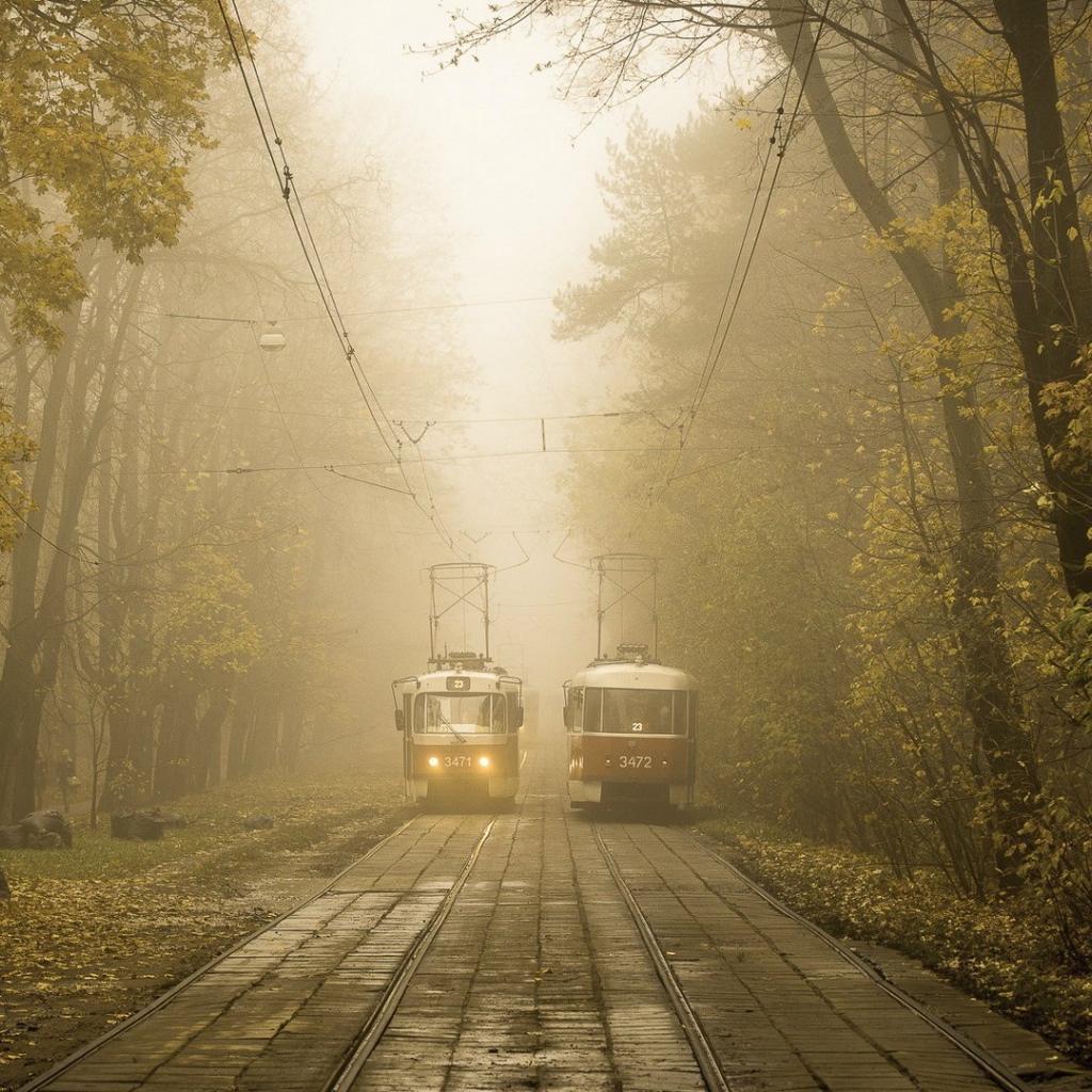 Два трамвая на линии в городском парке