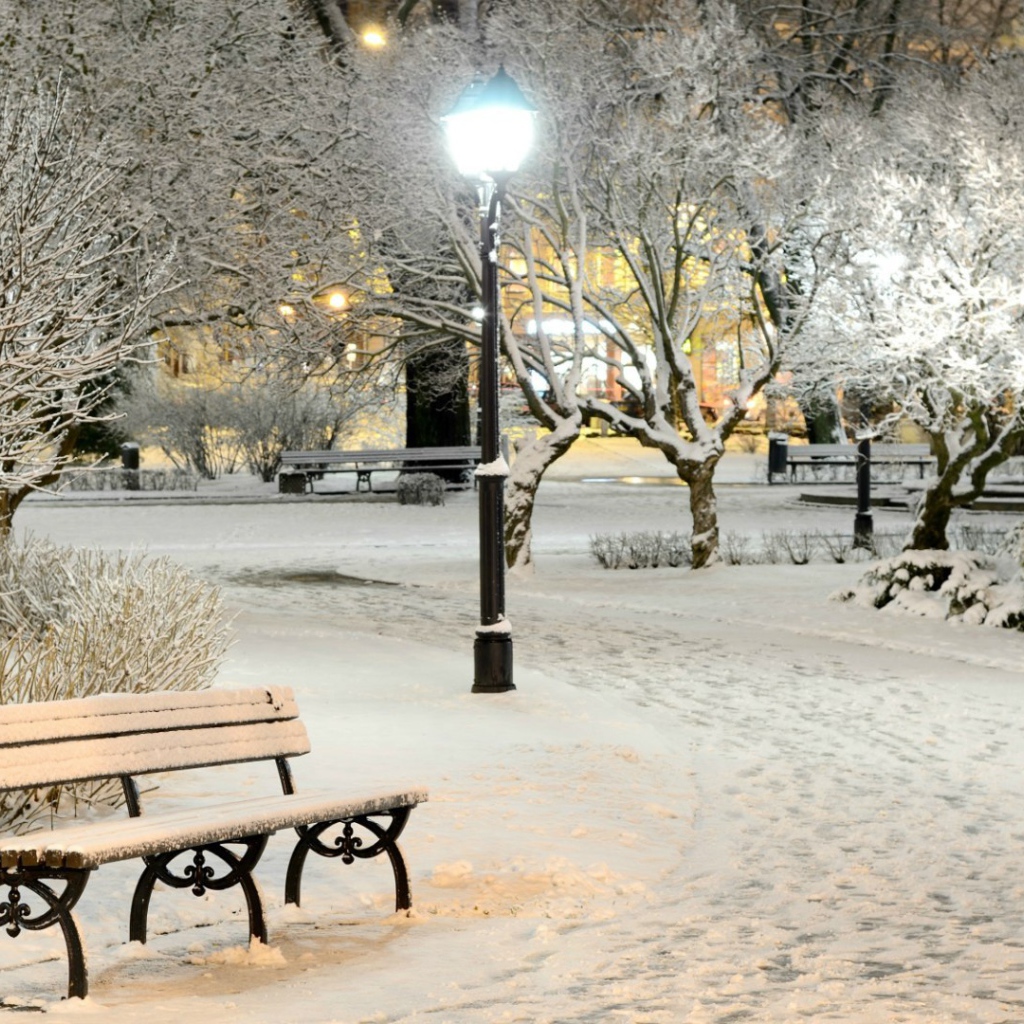 Зимний вечер в городском парке