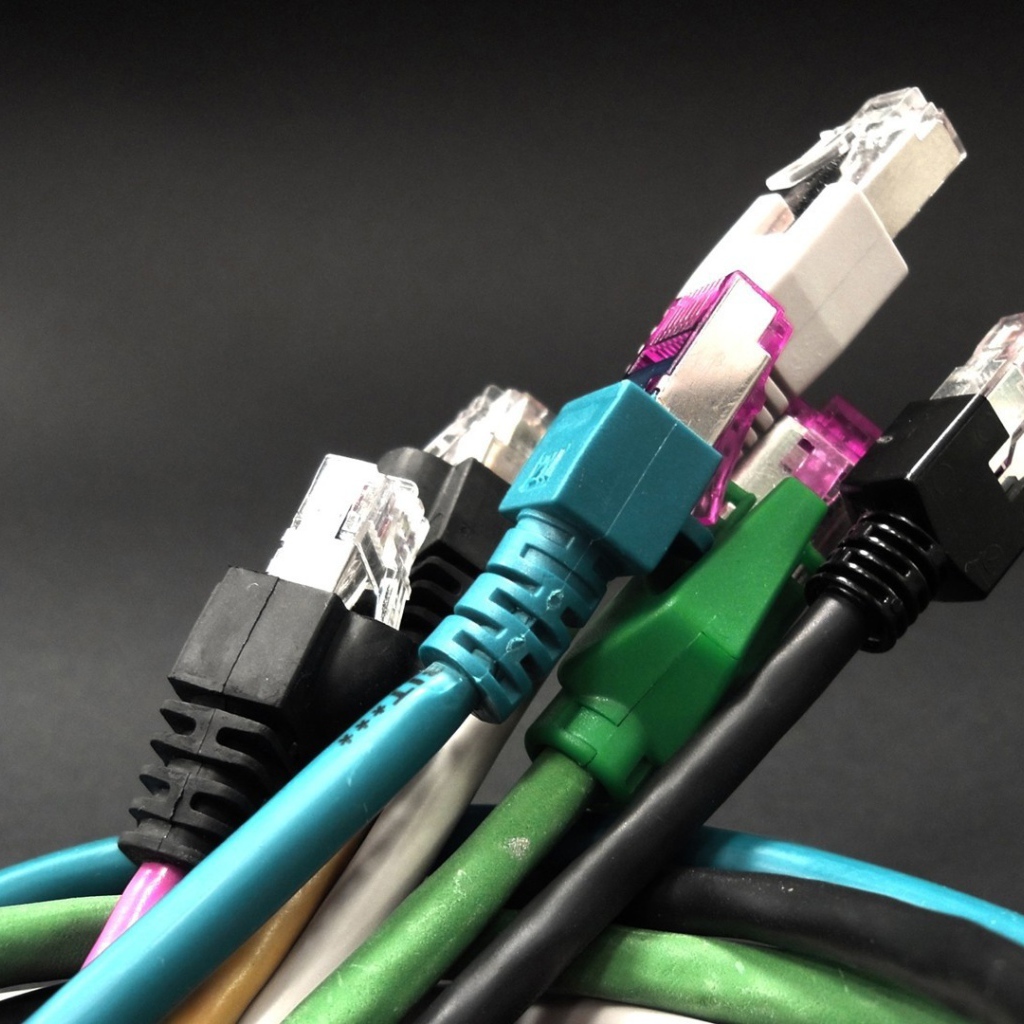 Букет компьютерных тюльпанов