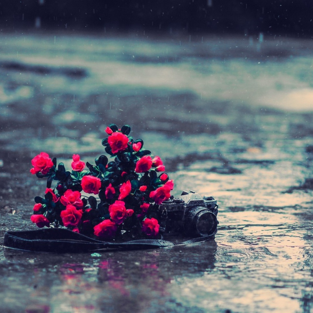 Букет цветов и фотоаппарат под дождем
