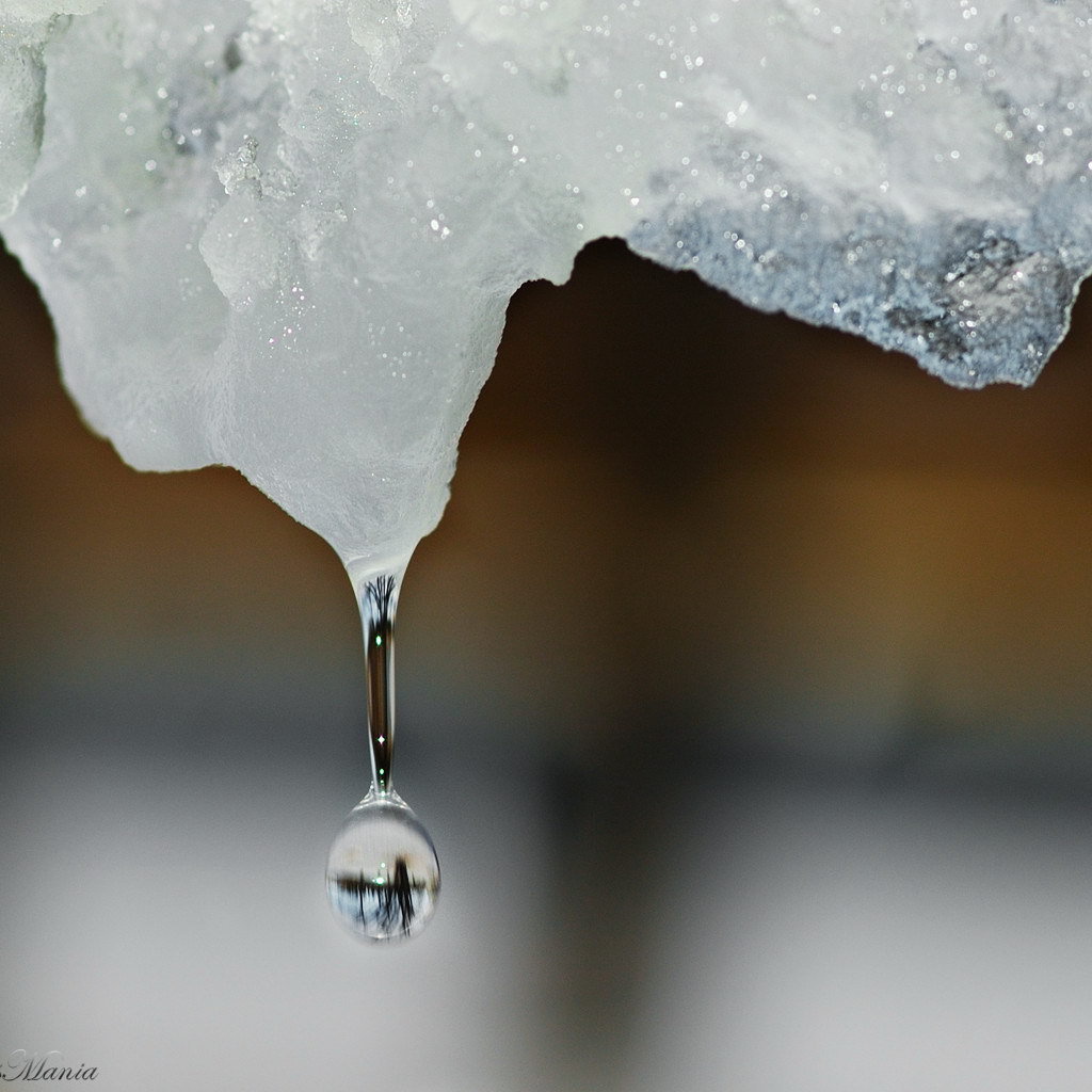Капля воды падает с льдины