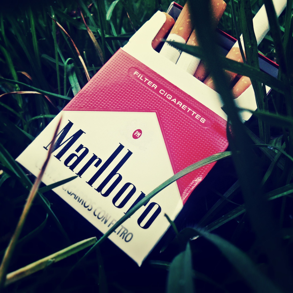 Пачка сигарет в траве