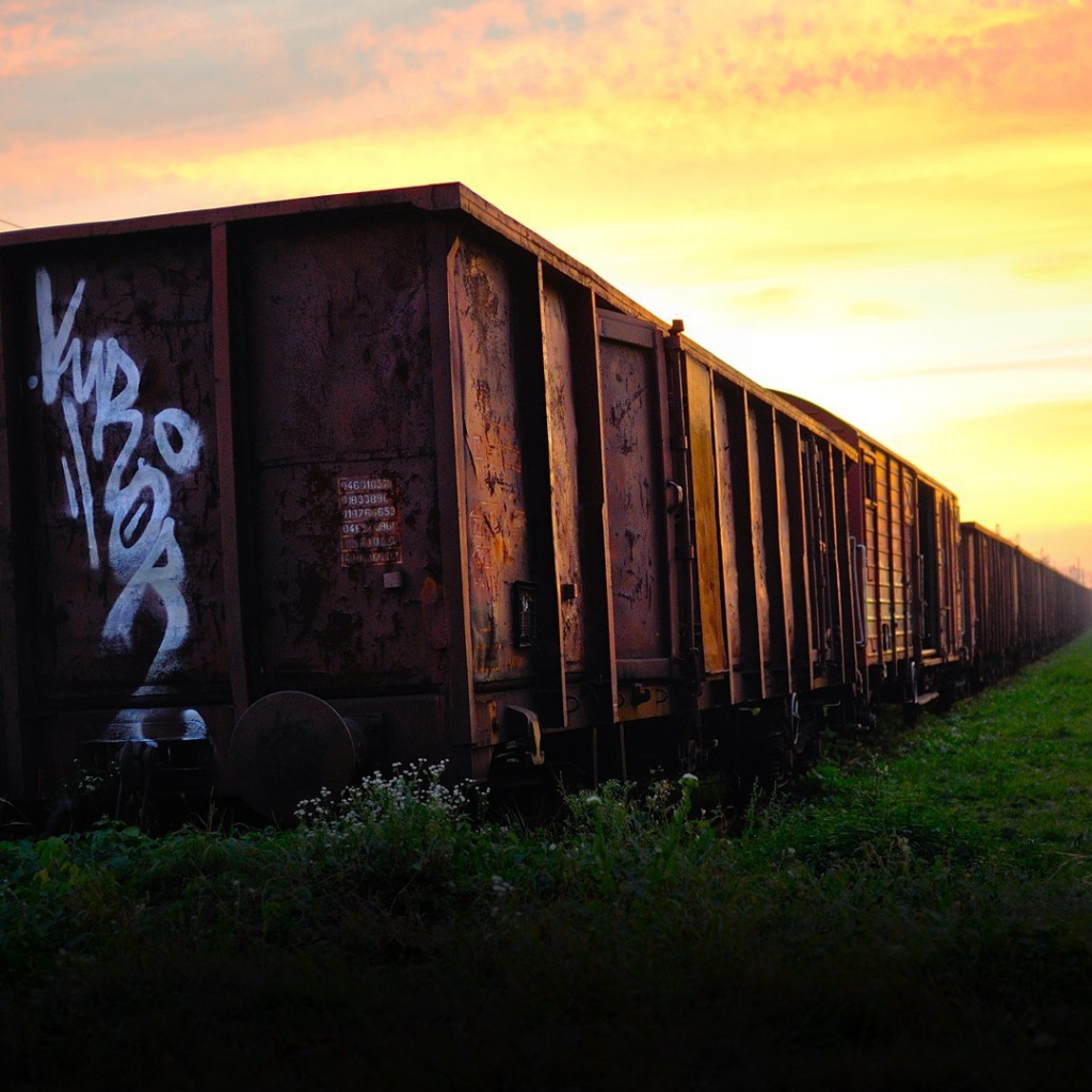 Заброшенная железнодорожная ветка