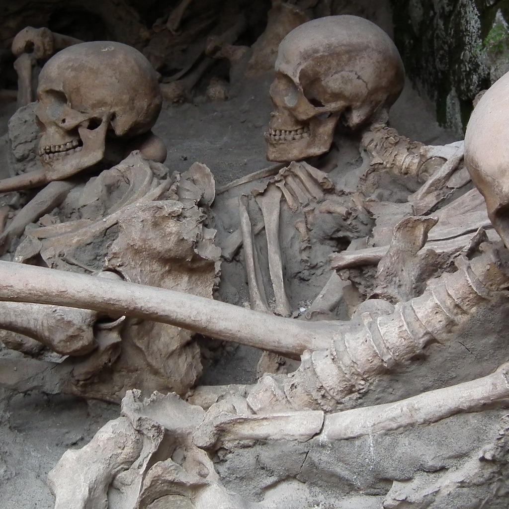 Археологические раскопки древнего захоронения