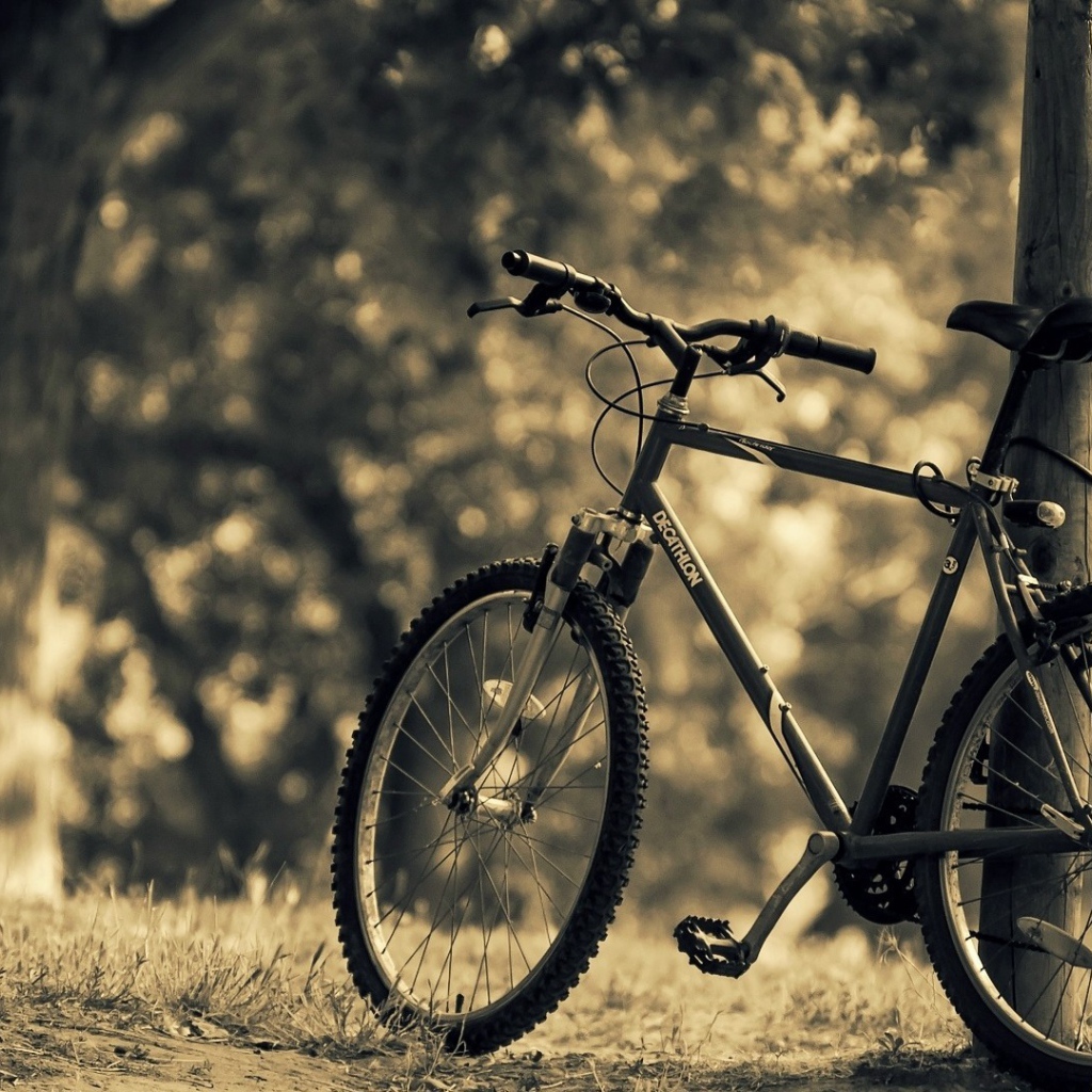 Велосипед стоит у стойки в парке