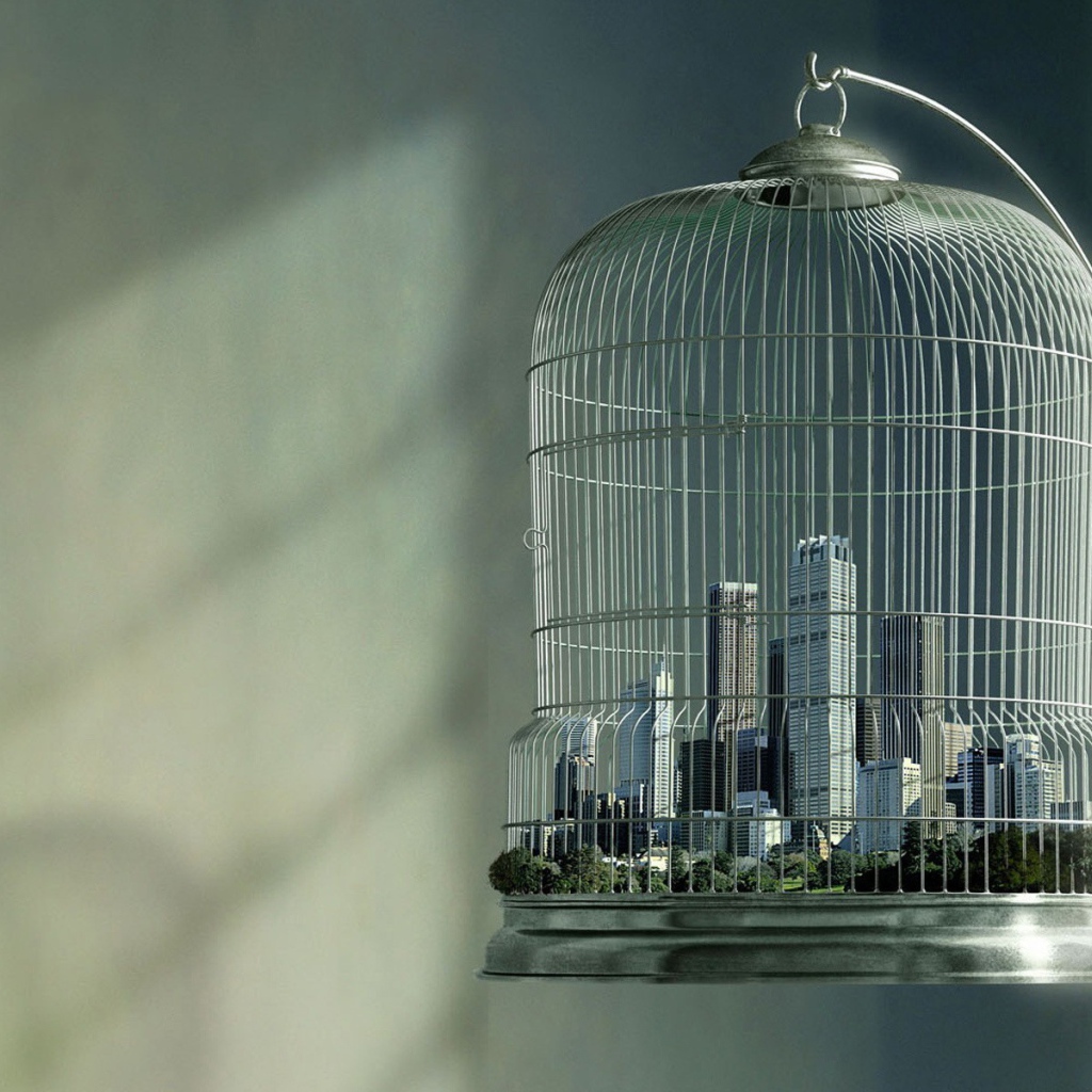 Большой город в птичьей клетке