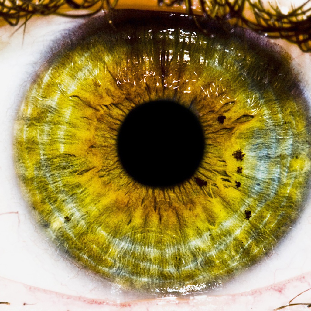 Большой зеленый зрачок