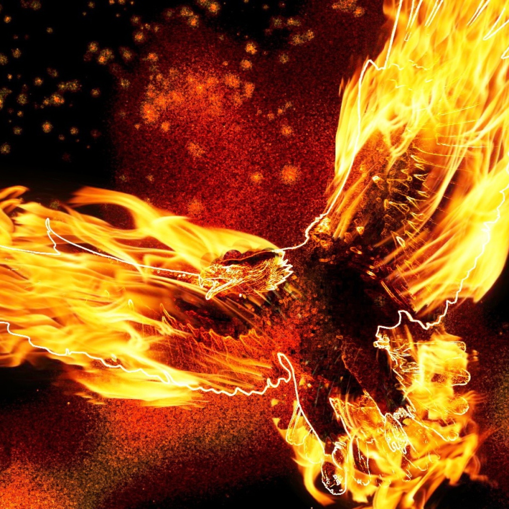 Птица орел в огне